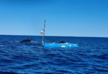 Ocius names US director Ocius Image Media July 2024